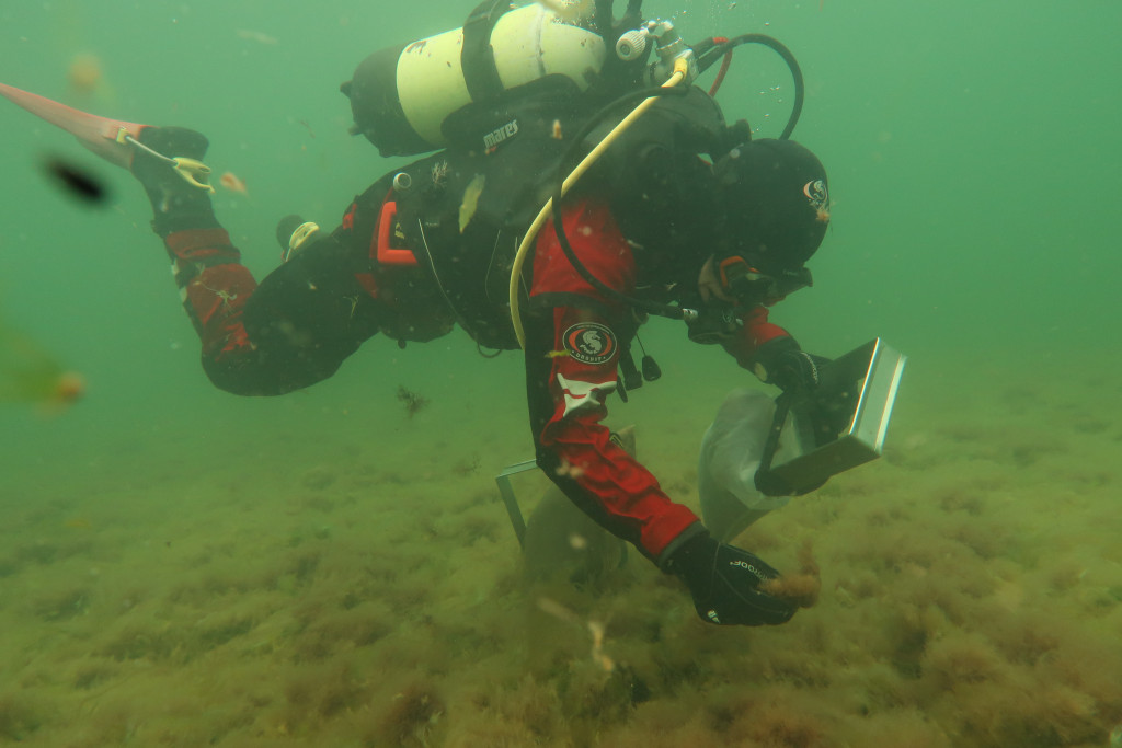 Mereteaduse konverentsil räägitakse Eesti mereuuringute hetkeseisust ja arengusuundadest
