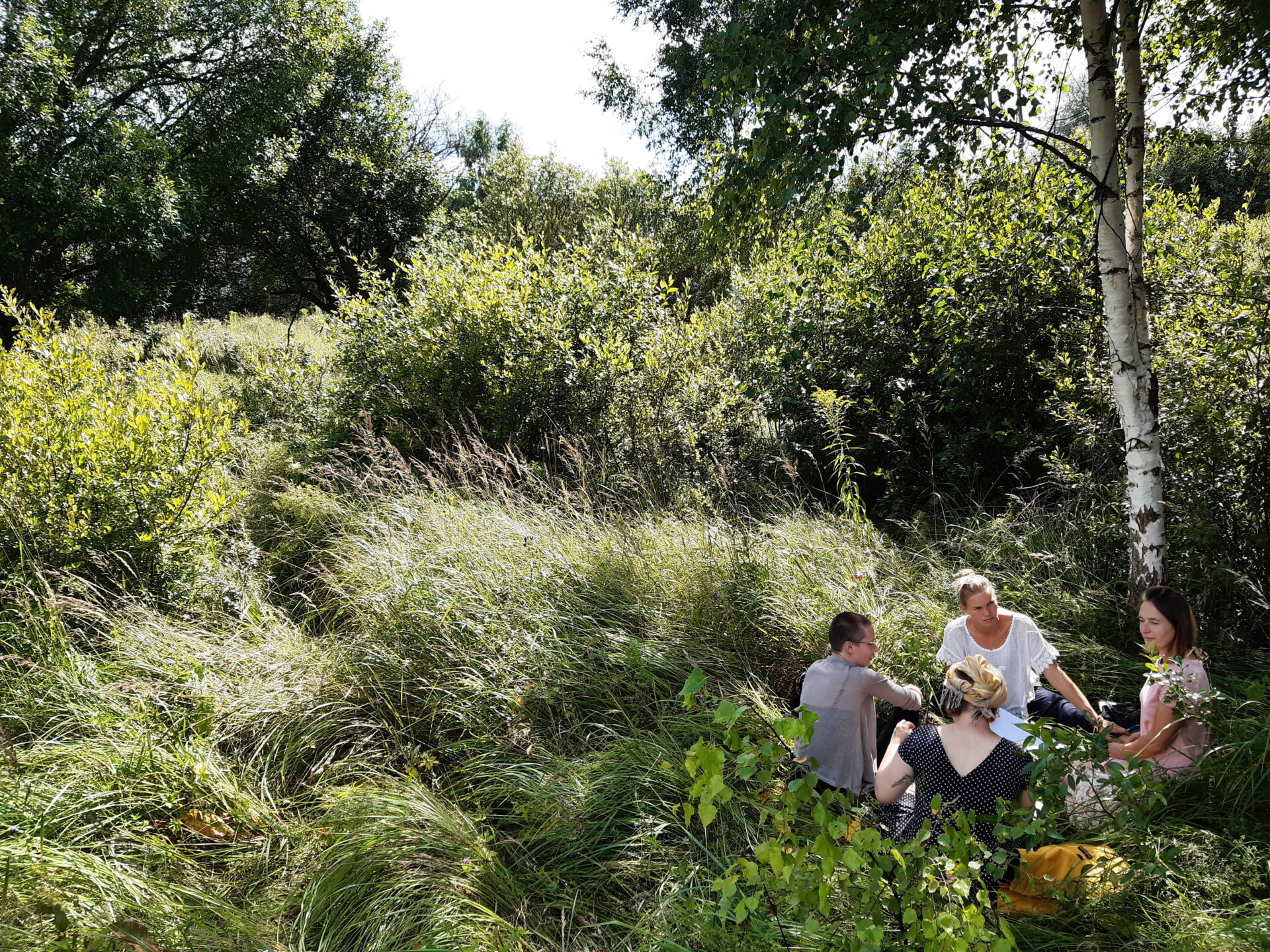 Eesti Keskkonnahariduse Ühingu viis aastaringi