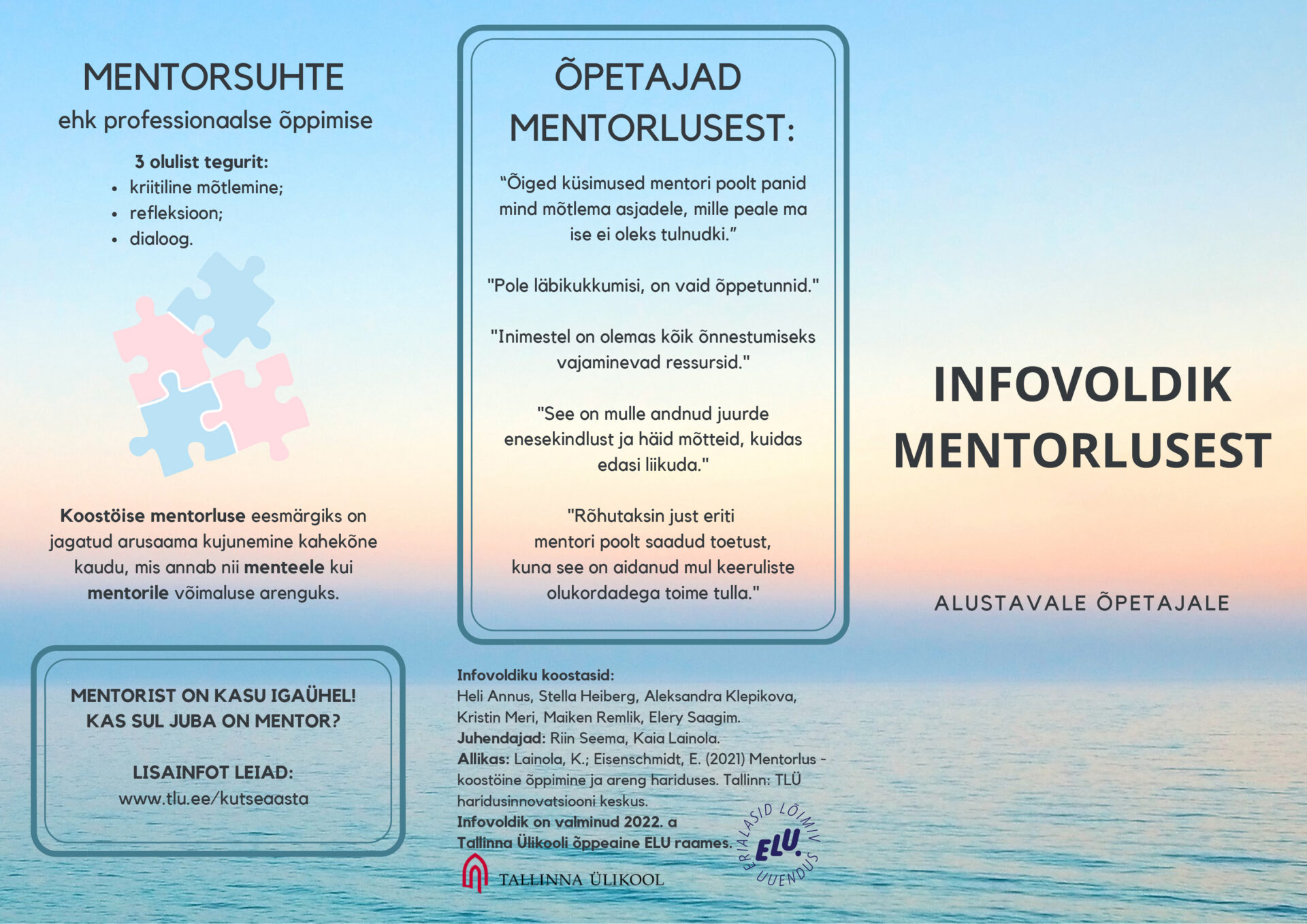 Mis on mentori hind?