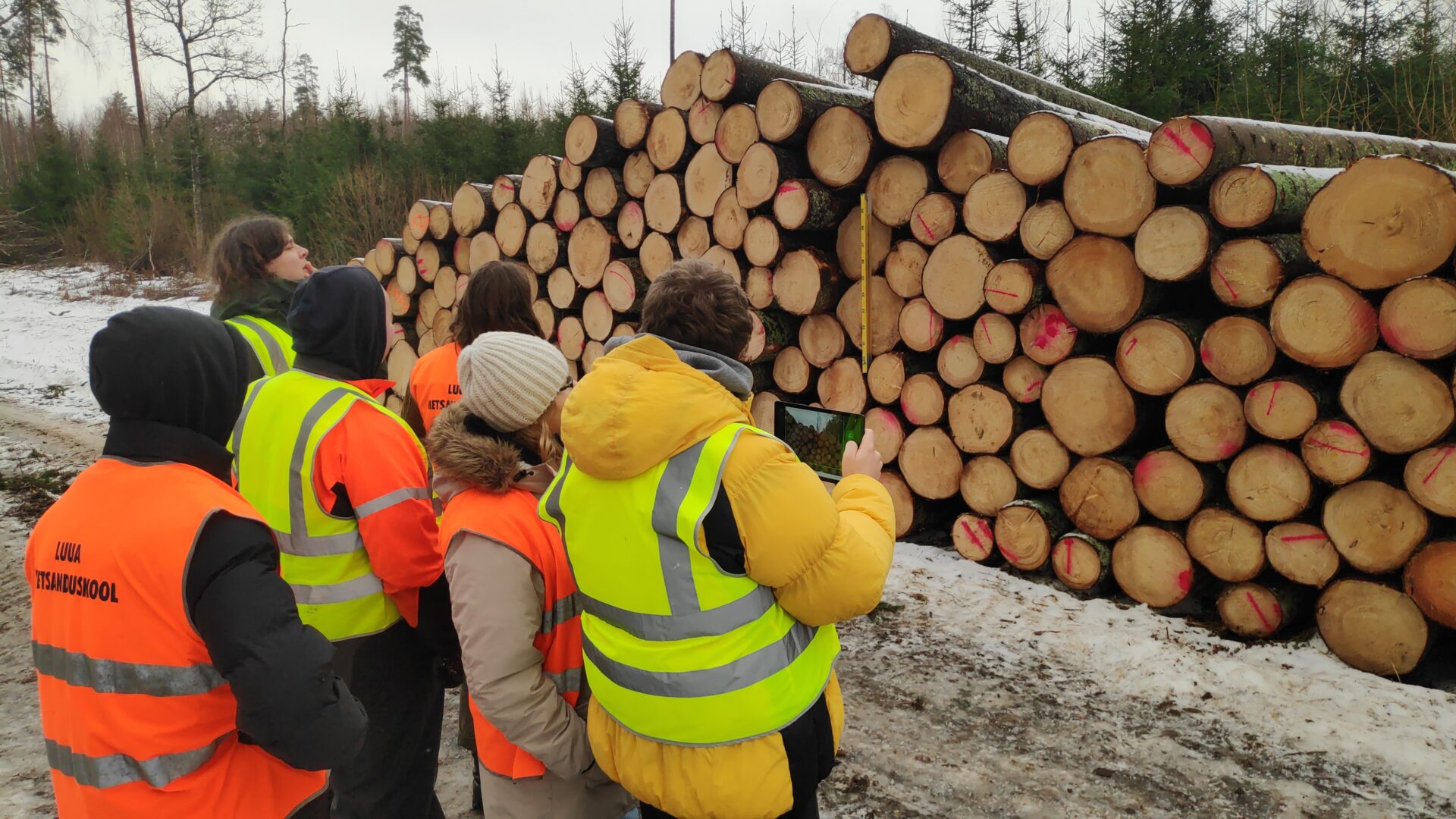 Luua Metsanduskool kindlustab Eesti metsade tarka tulevikku
