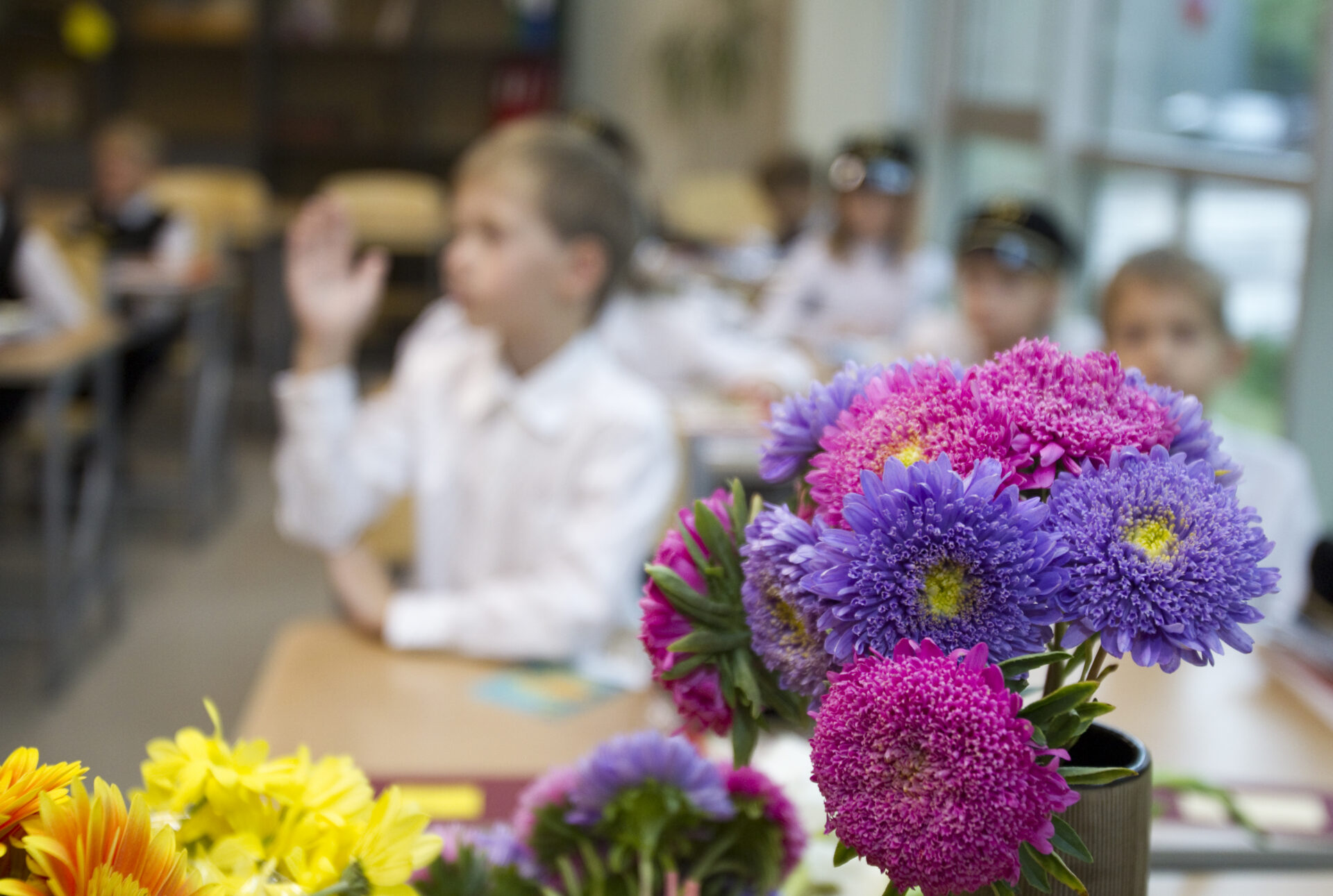 Millist tuge vajab alustav õpetaja?