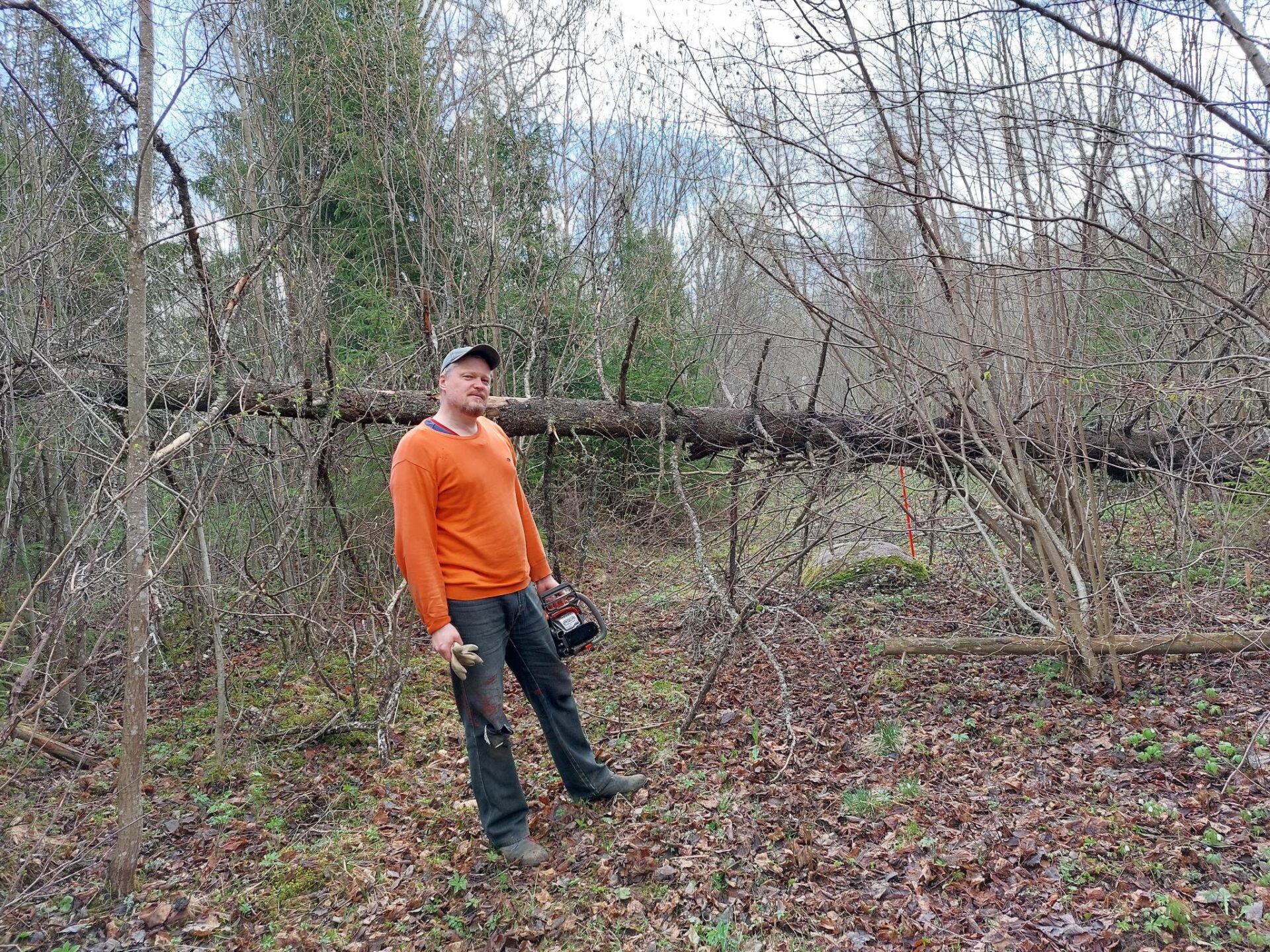 Luuletaja Wimberg ehk õpetaja Jaak Urmet