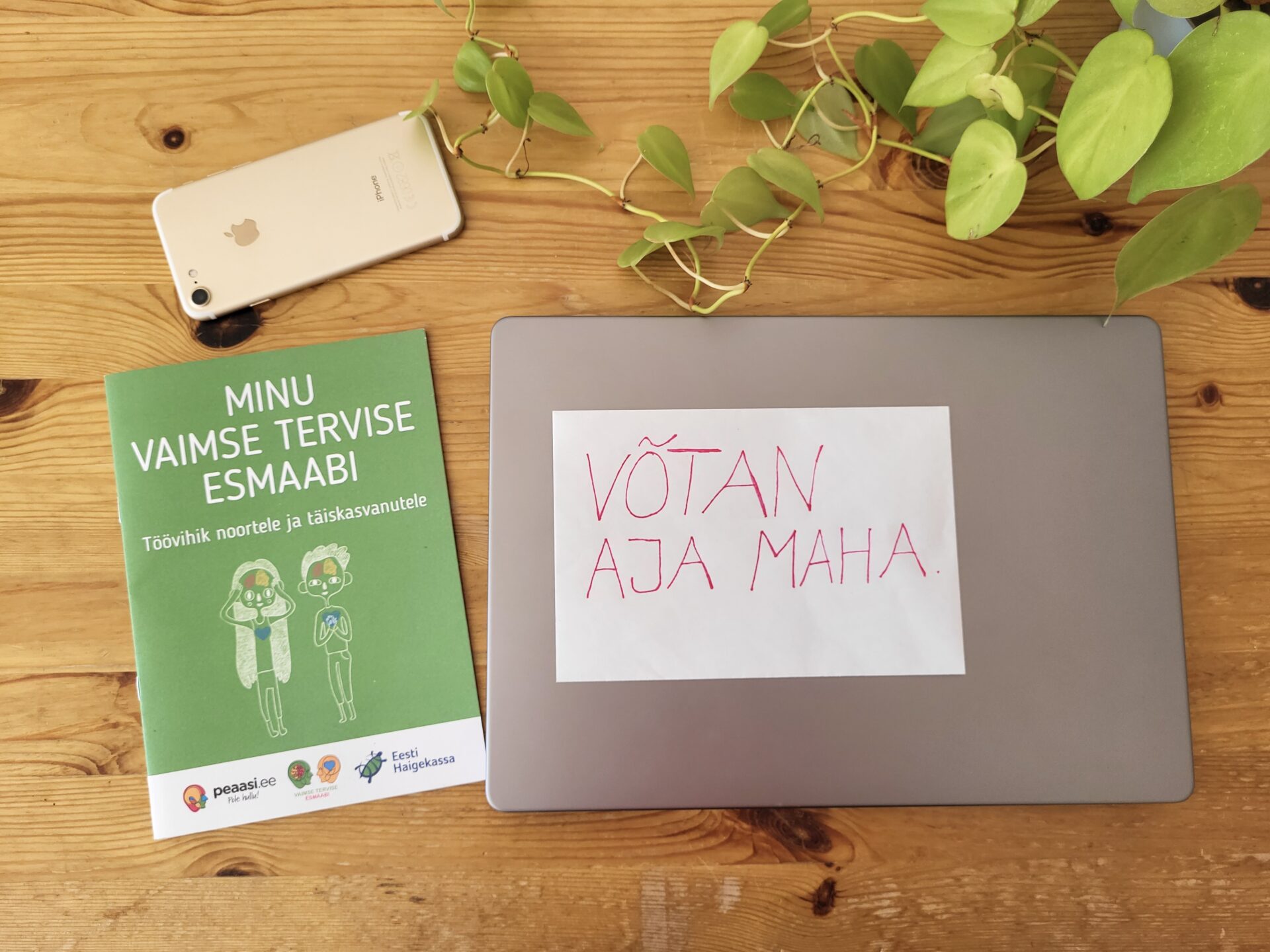 Kuidas õpetajana oma vaimset tervist hoida?