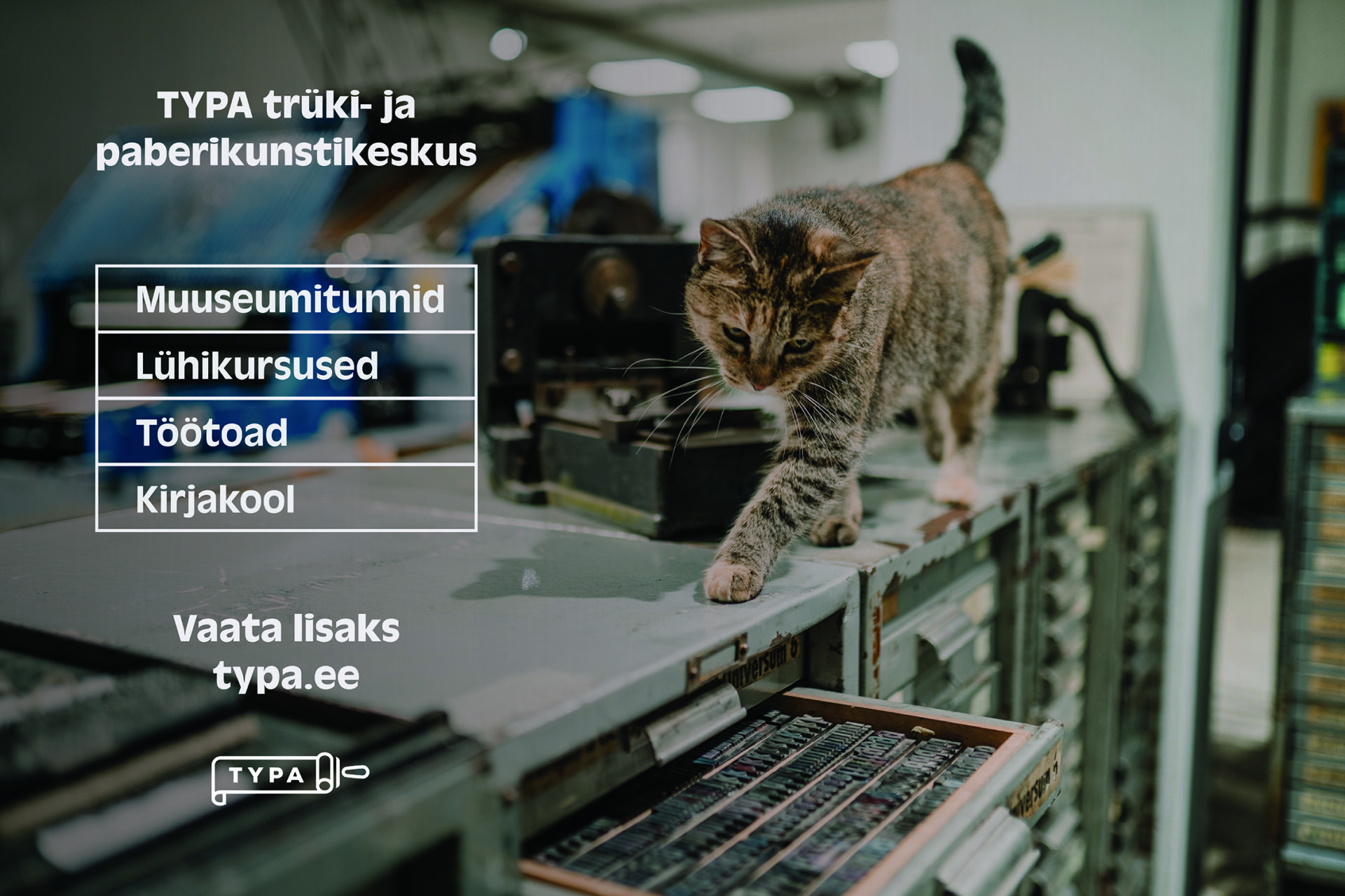 Tegevusrohke TYPA keskus