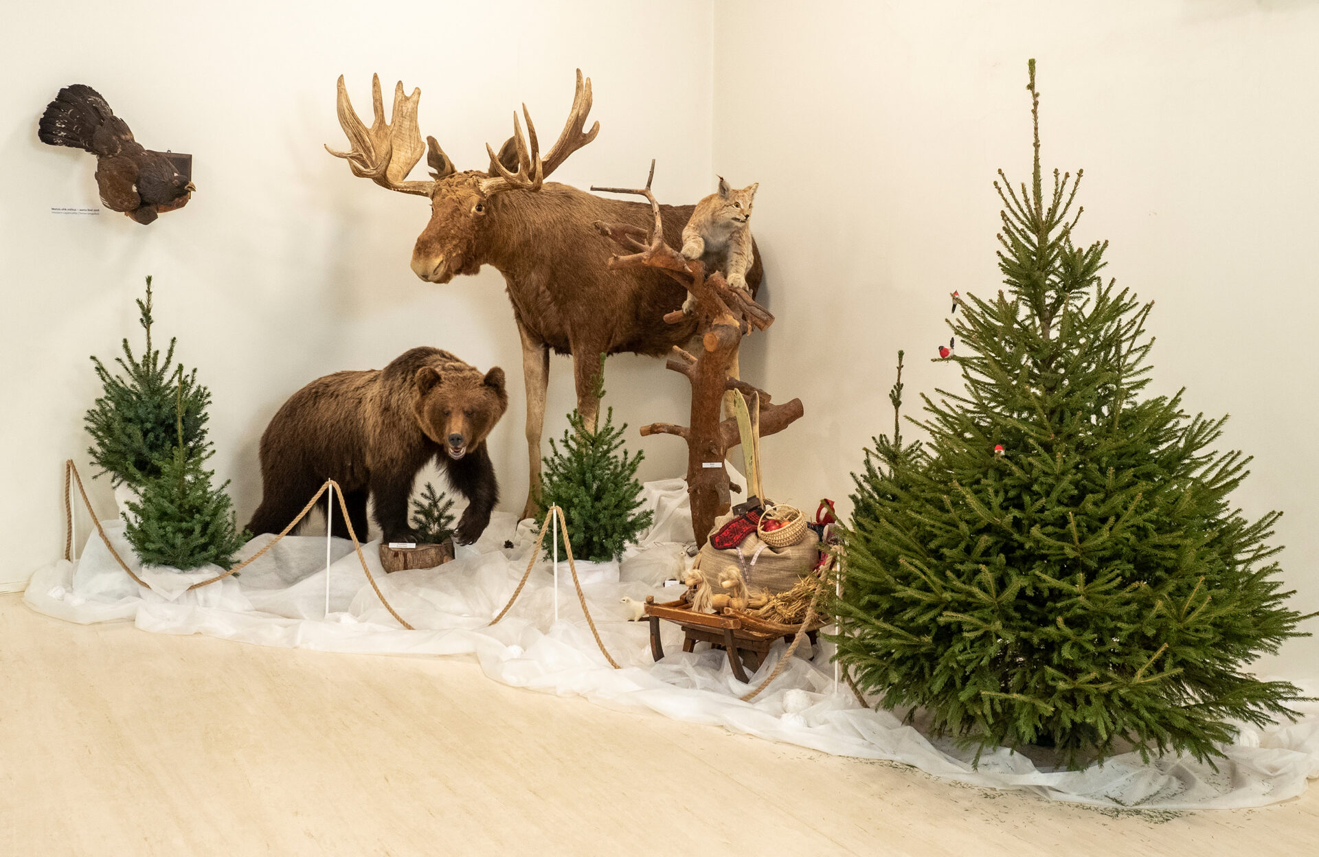 Viljandi Muuseumi sügistalvine hooaeg