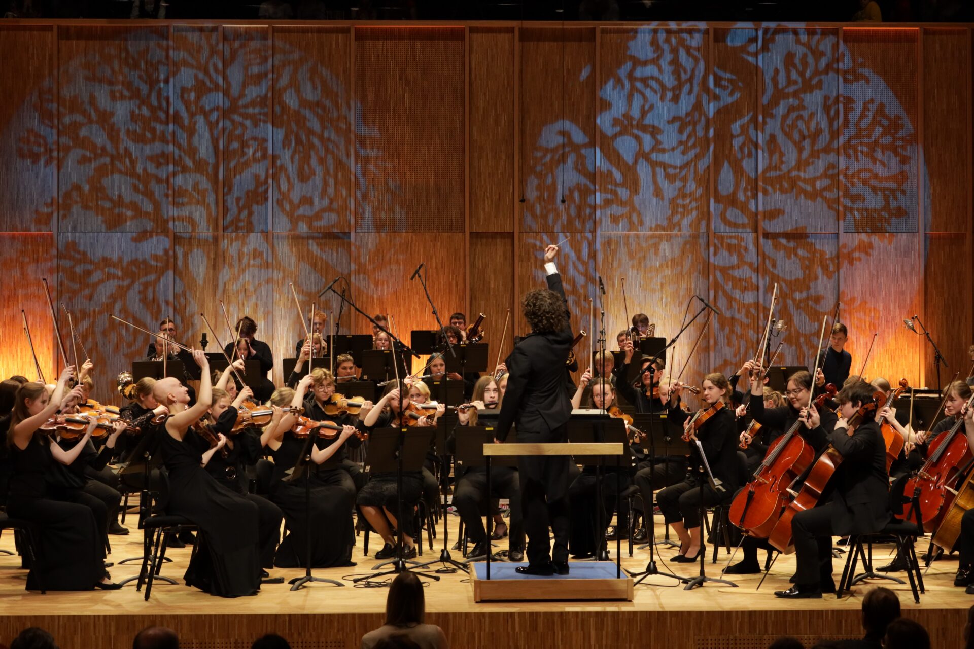 MUBA annab muusikalist haridust ja õpetab ka muusikat kuulama