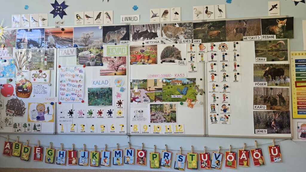 Vene kodukeelega HEV-laste üleminek eestikeelsele õppele tekitab vastakaid arvamusi