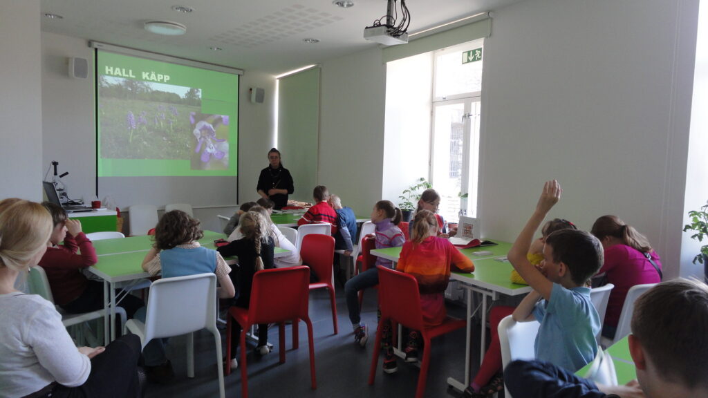 Loodusmuuseumis laotakse teadmised kogemusele