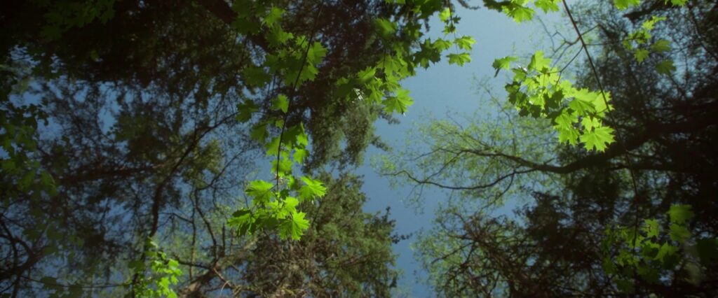 Meie lapsed vajavad regulaarselt N-vitamiini kuuri