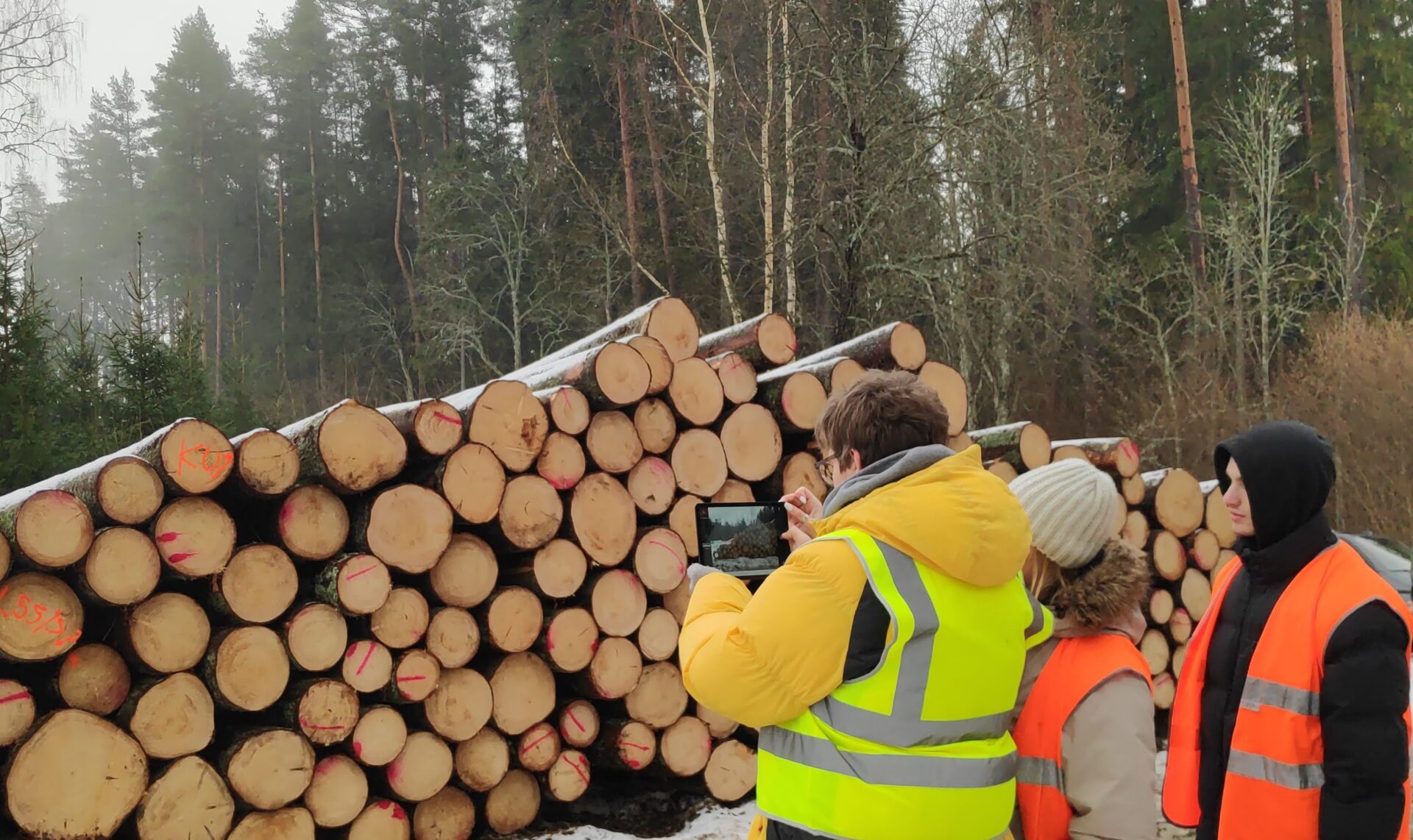 Luua Metsanduskool: kiirendusrada unistuste karjääriteel