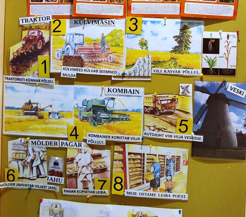 Kuidas valmivad õppematerjalid muukeelsetele lastele