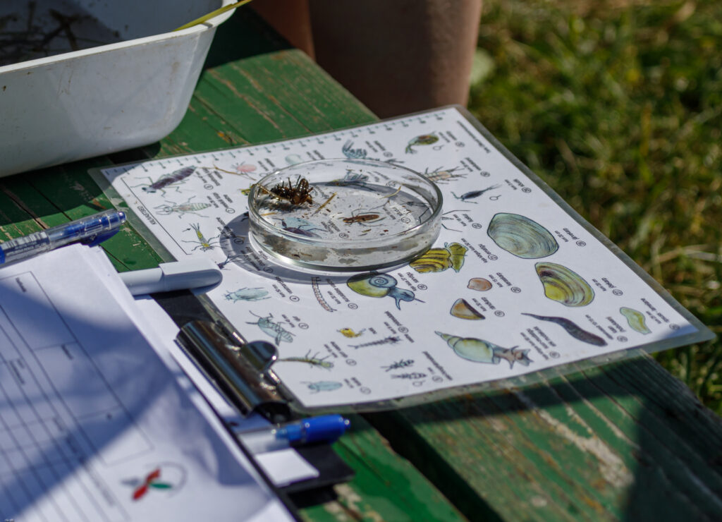 Koos õpilastega loodusvaatluste minimaratonile