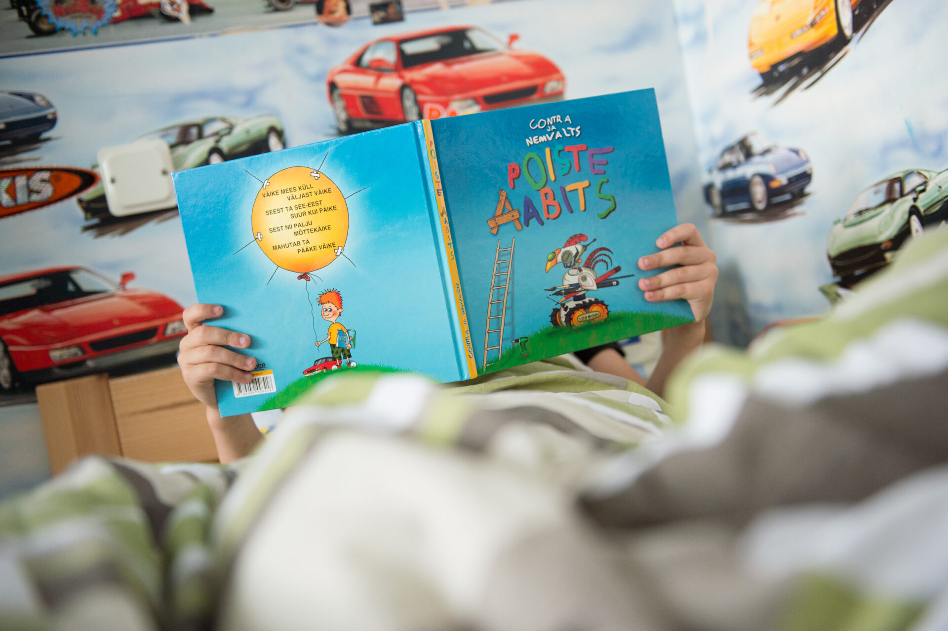 Pildiraamatu rikas maailm