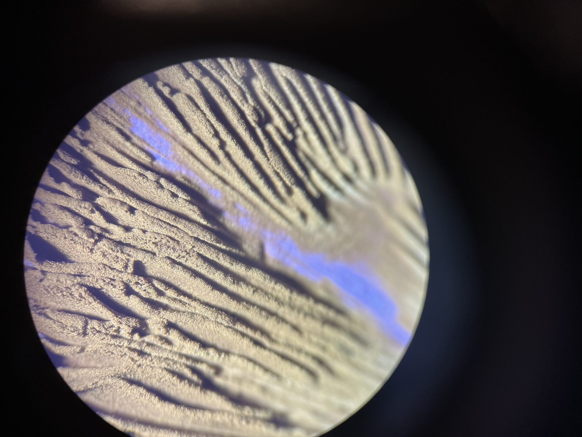 Viimsi Teaduskoolis kohtuvad uudishimu ja tänapäevased võimalused