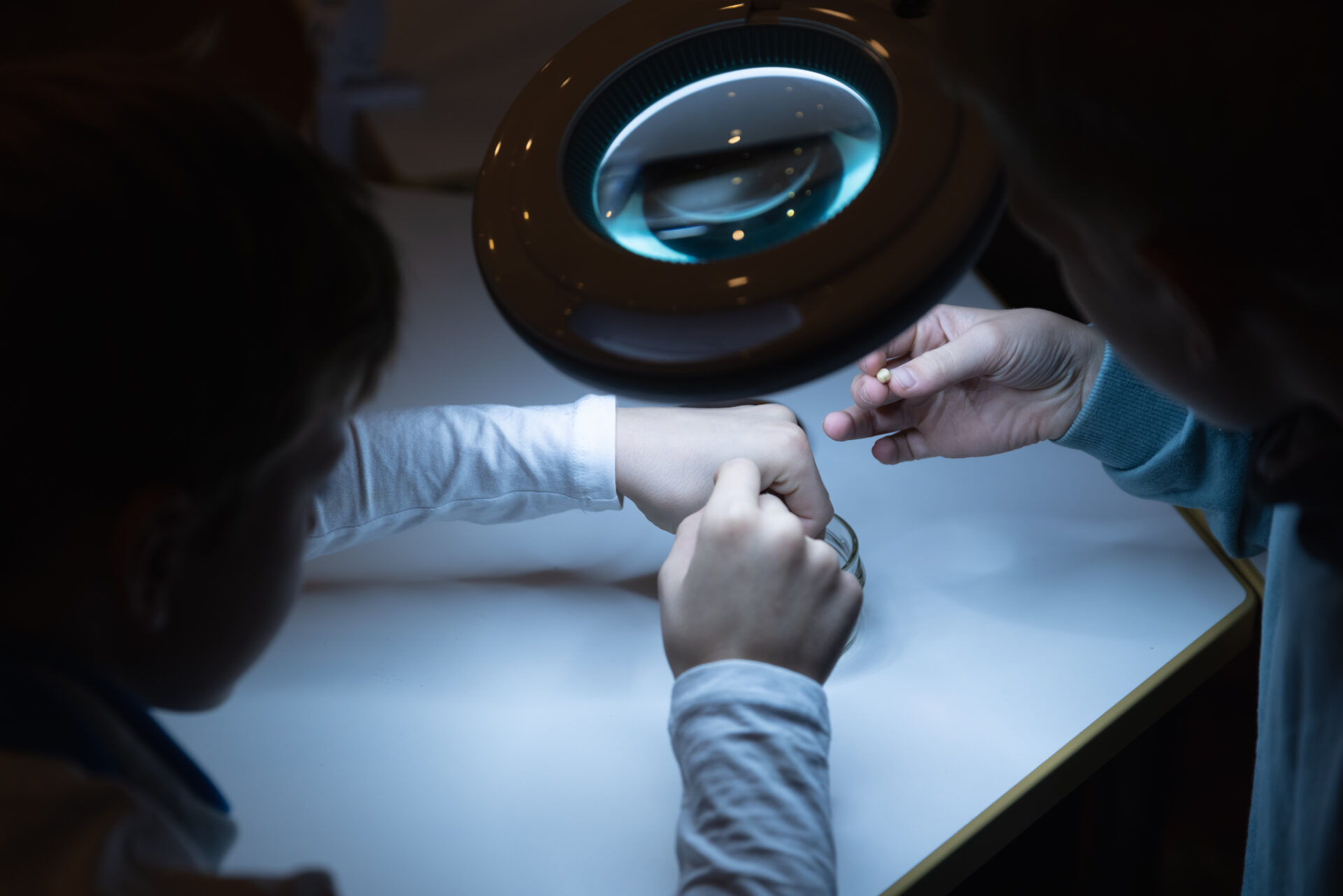 Maaelumuuseumid üllatavad uute muuseumitundidega