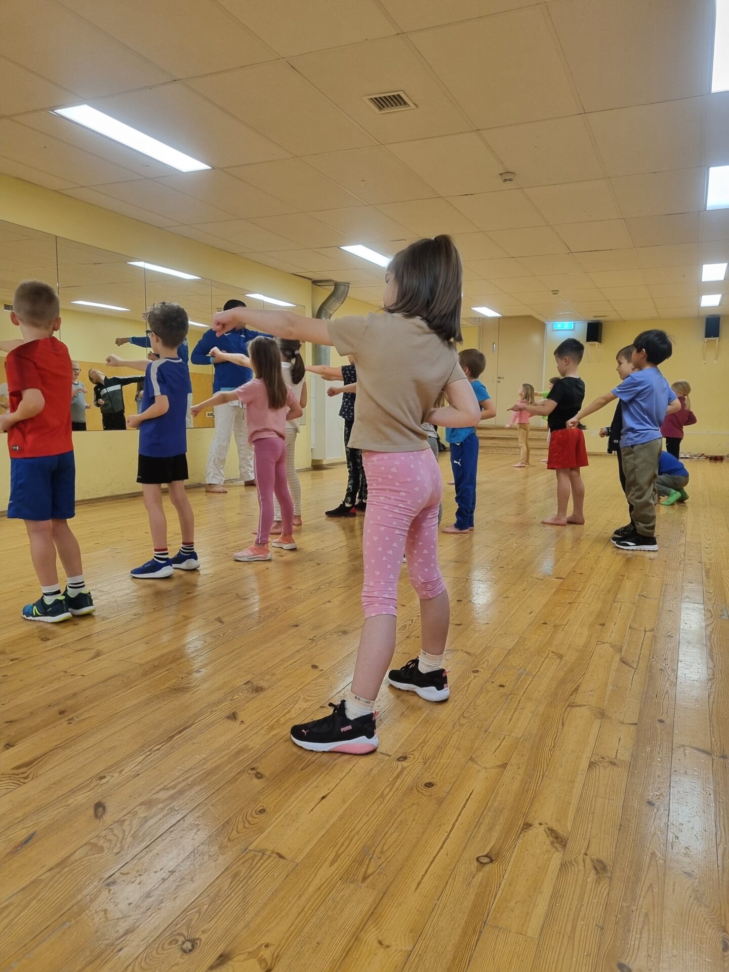 Karate Eesti haridussüsteemi