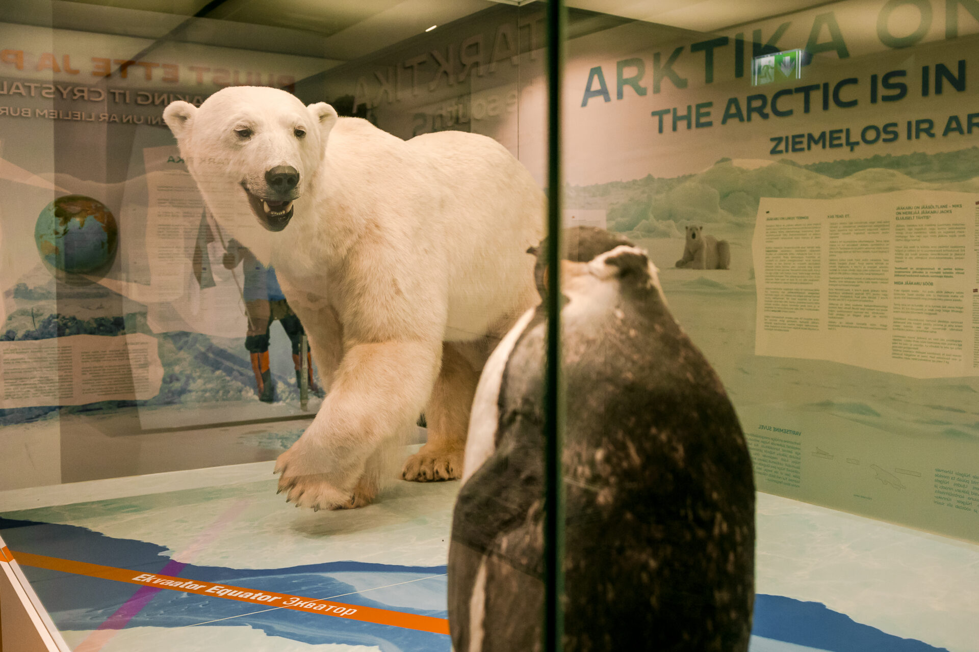Jääaja Keskus – kliimamuutuste mõistmine praktilise õppe kaudu