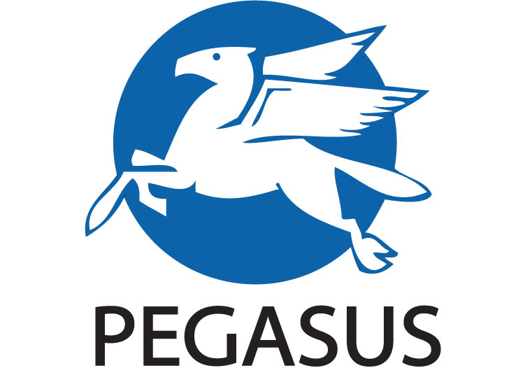 RAAMAT ⟩ Kirjastus Pegasus soovitab