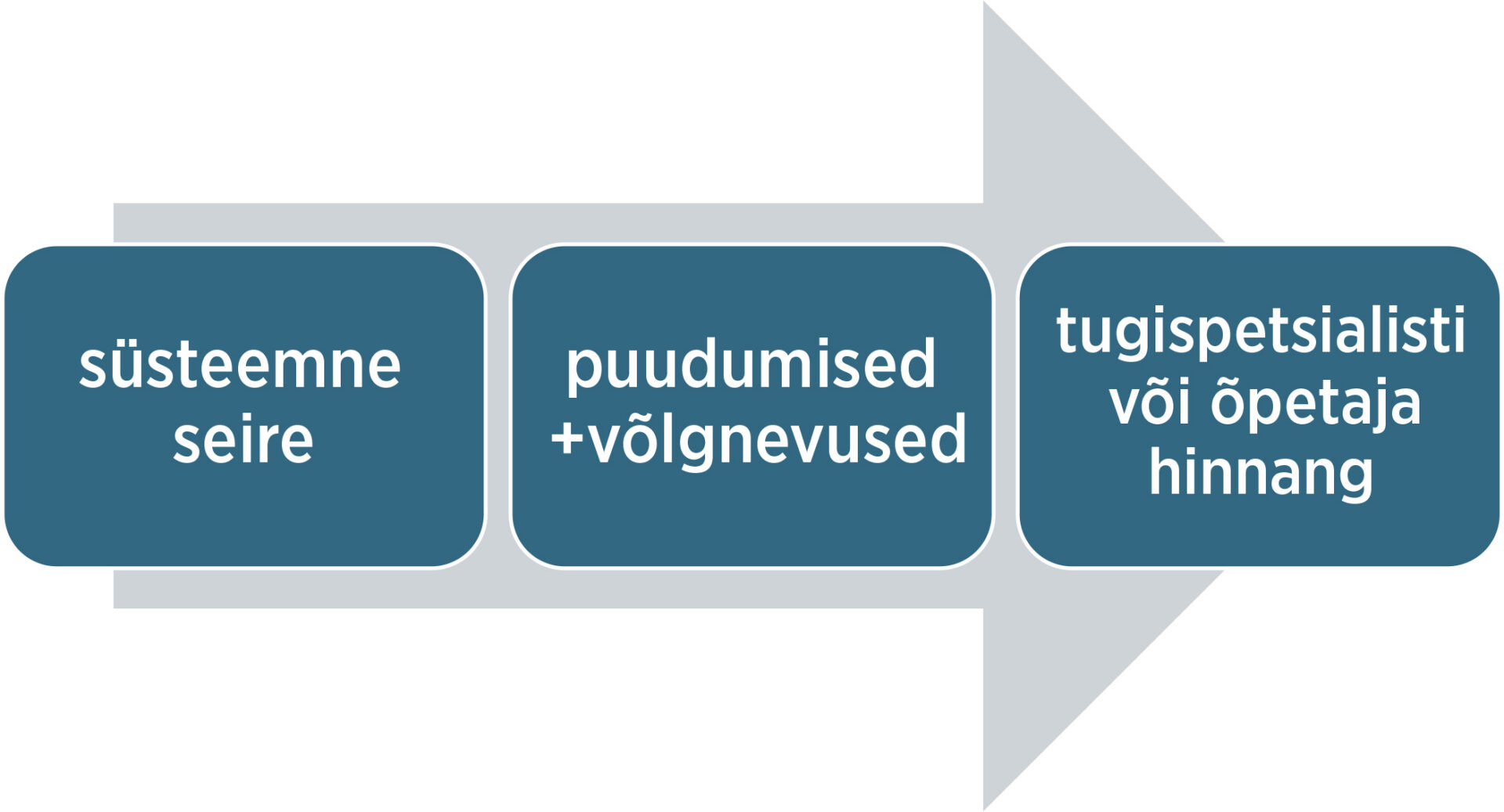Kes seirab ja sekkub? Alternatiivi hoolimisele pole