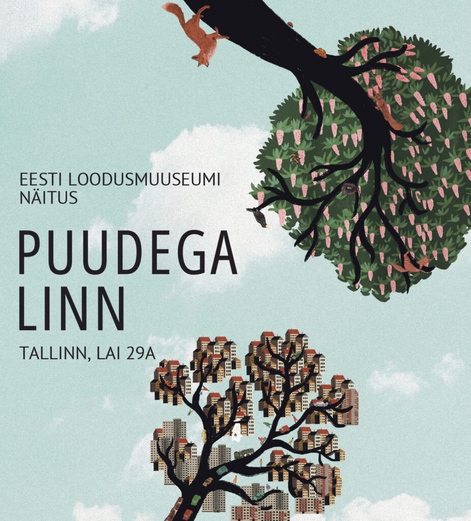 (Linna)loodusele lähemale Eesti Loodusmuuseumiga