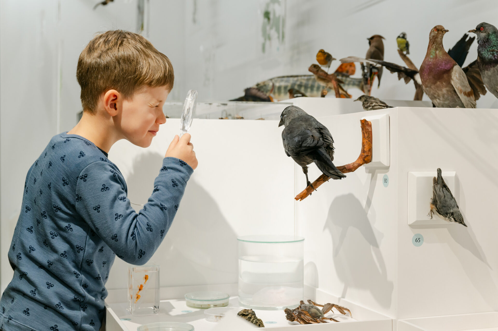 Õppeaasta lõpu seiklus Eesti Loodusmuuseumis!