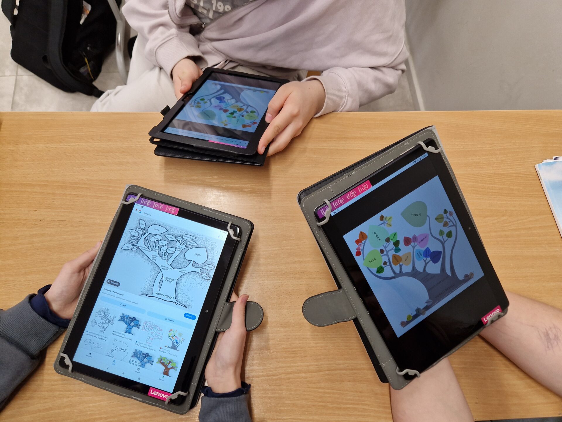 Soome-ugri rahvaste ja keelte käsitlemine eesti keele tundides