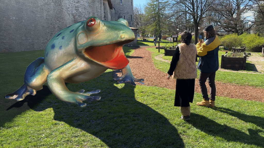 Virtuaalne loodusnäitus – kas puisniit saab olla telefonis?