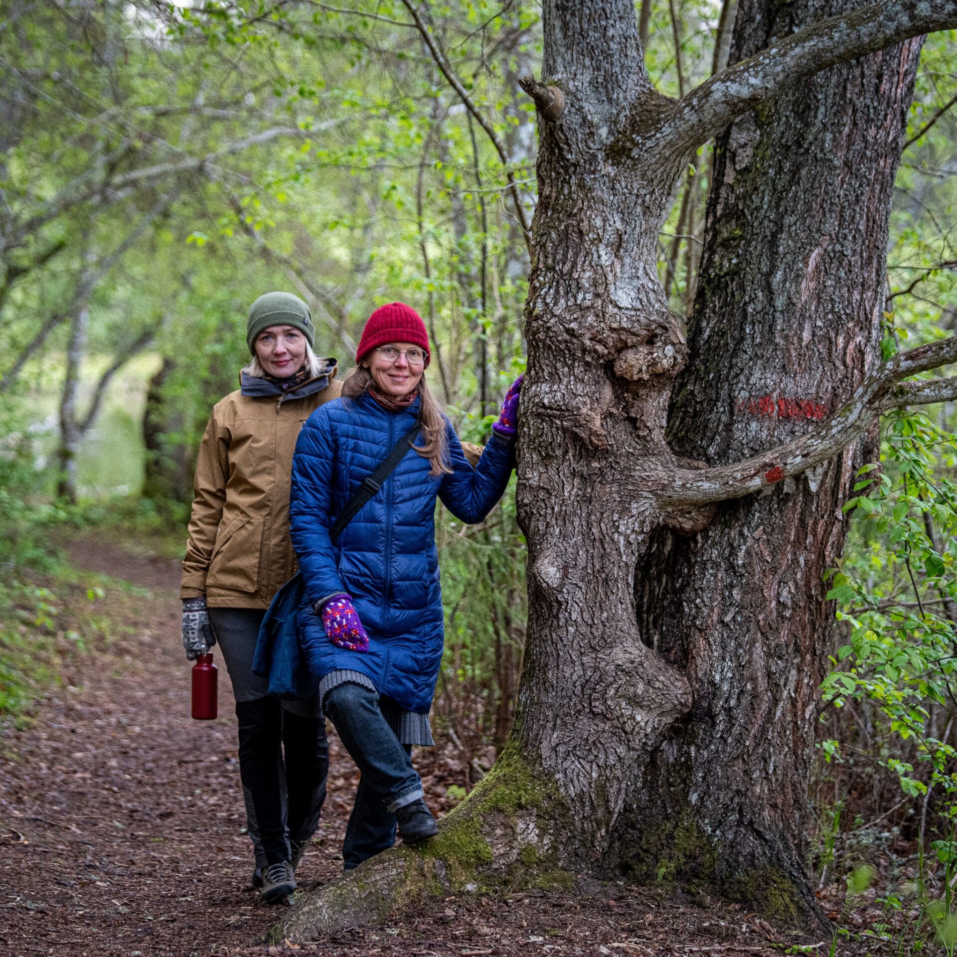 Õpetajate täienduskoolitus: pärimuspärastlõuna Taevaskojas
