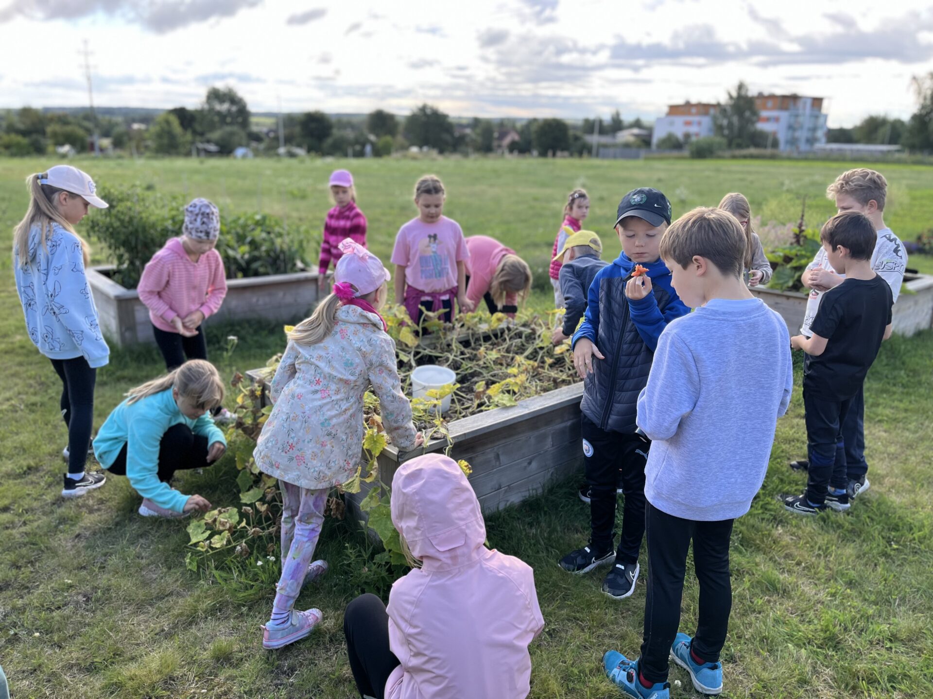 Eesti maaelumuuseumid – ehedad, uuenduslikud ja külastajakesksed
