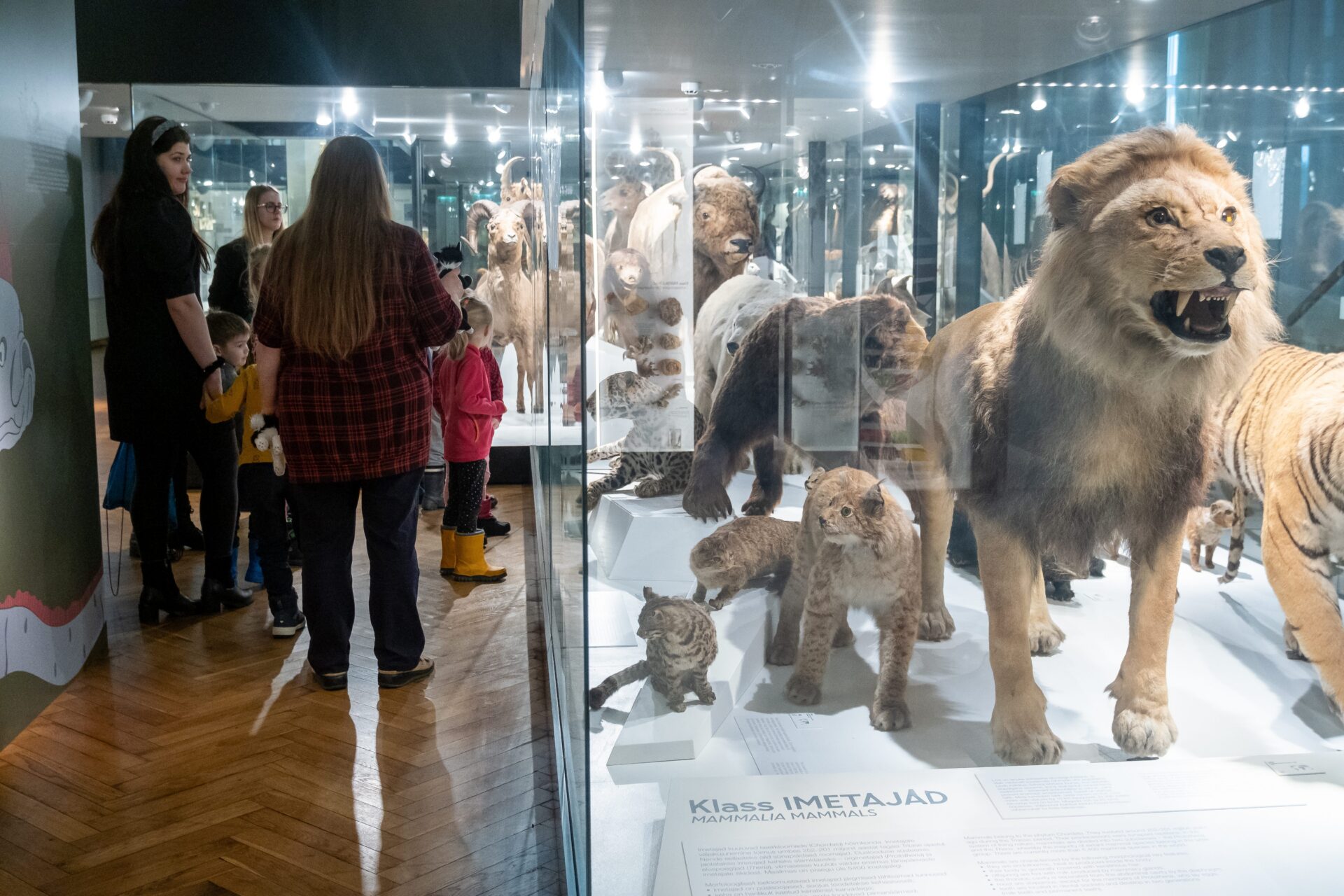 Uurides, kogedes ja avastades – loodusharidus käega katsutavaks