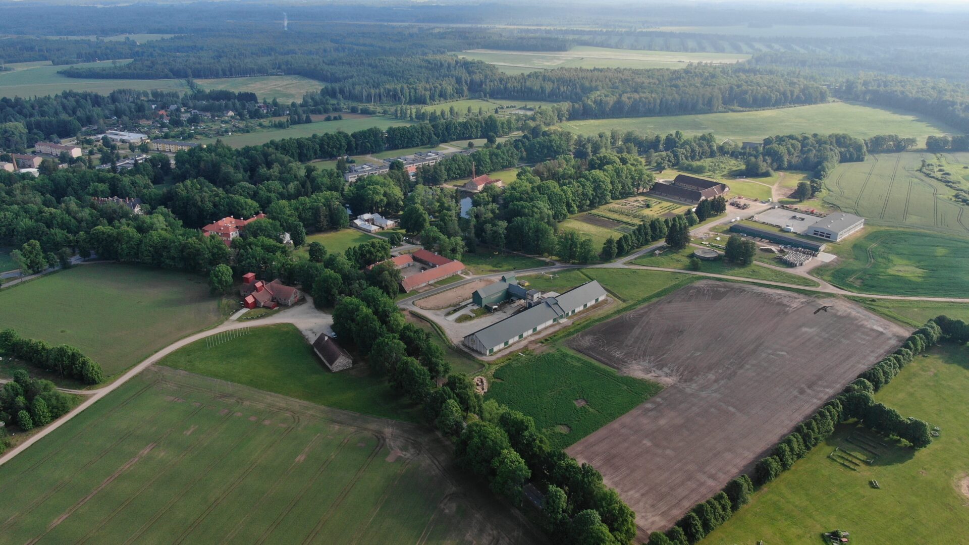 Koolijuhtimine on pikamaajooks