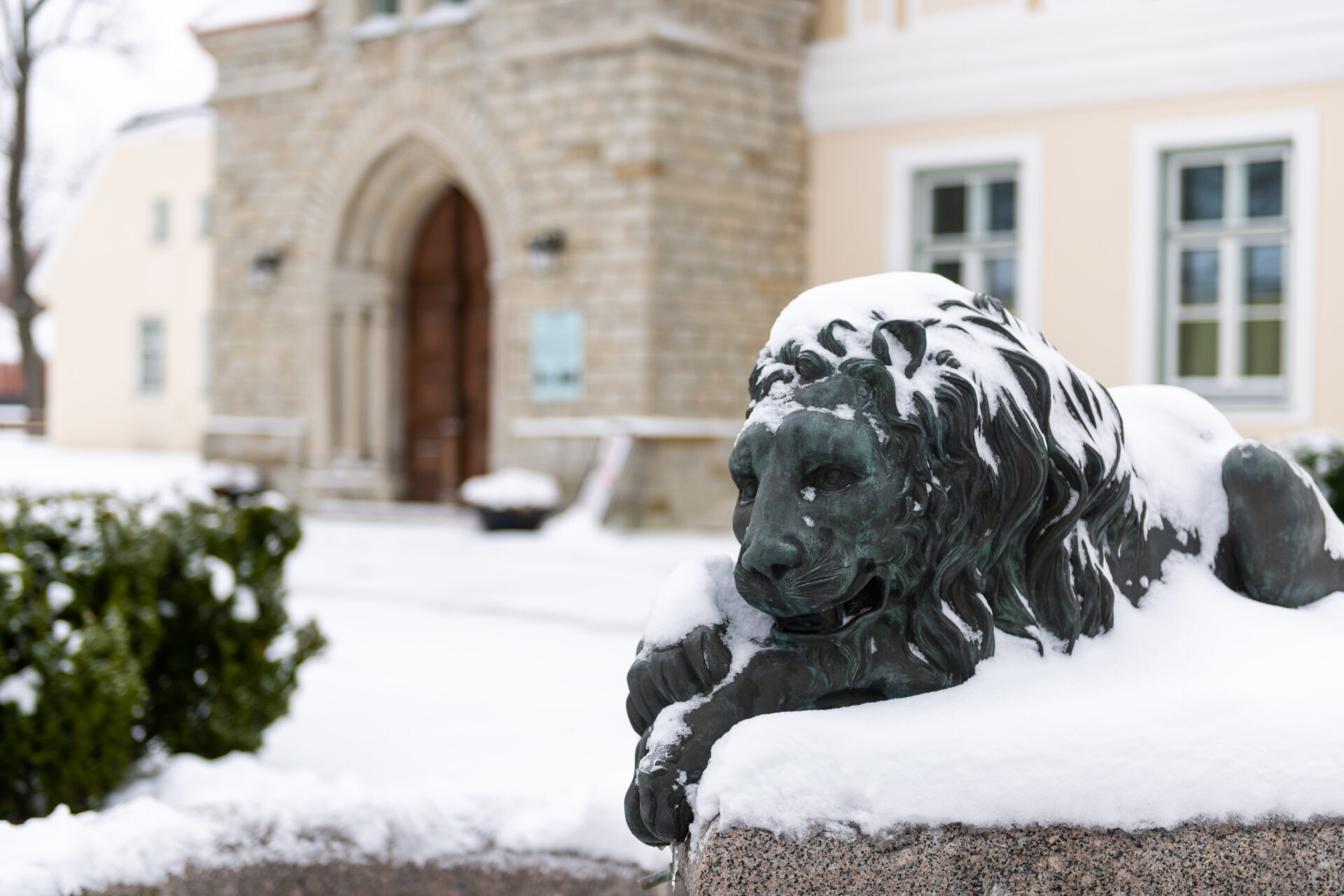 Eesti Ajaloomuuseum kutsub jõuluteemalistesse muuseumitundidesse!