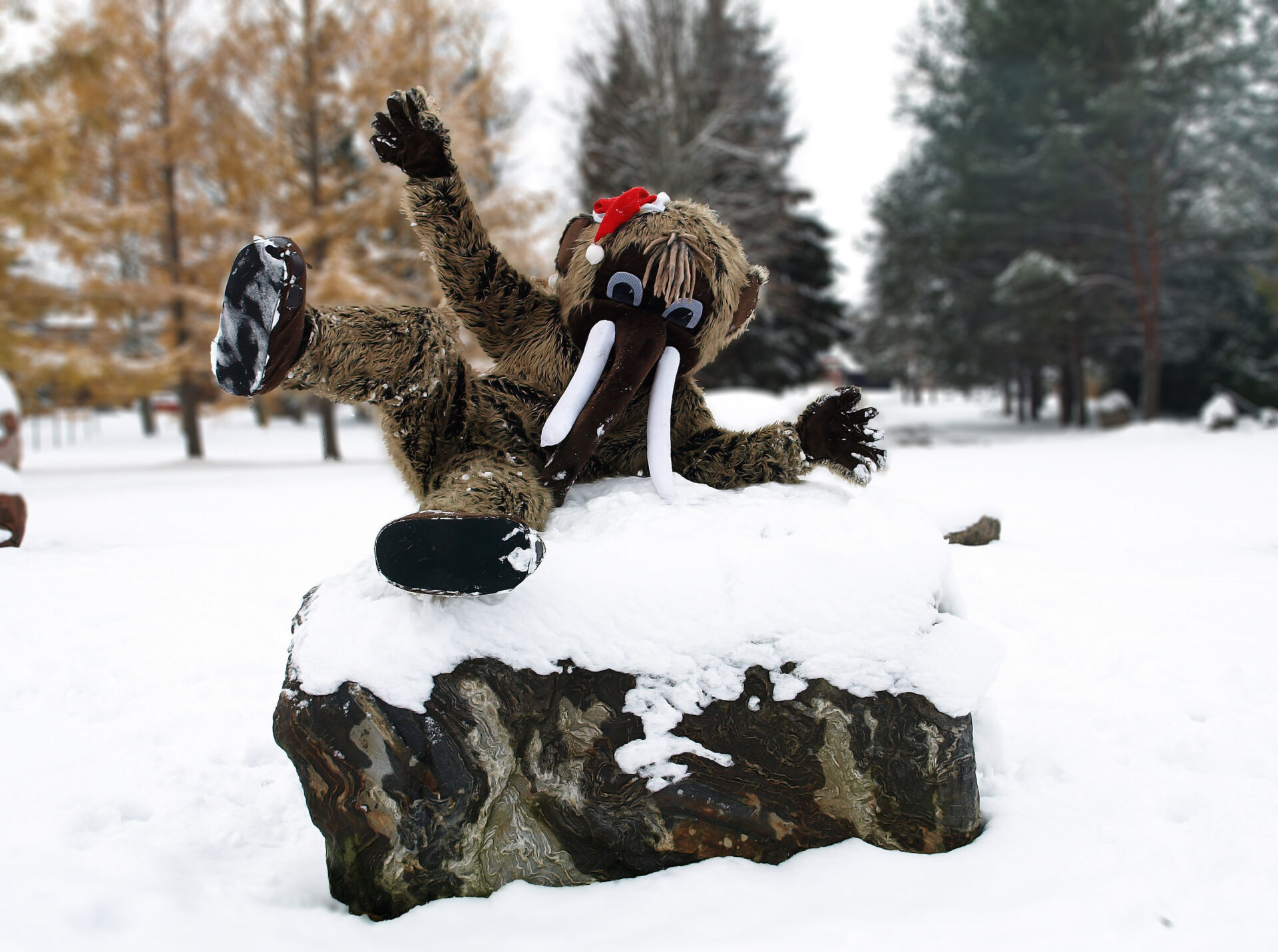 Teadus ja mäng üheskoos – Jääaja Keskuses on sel aastal kolm talveprogrammi