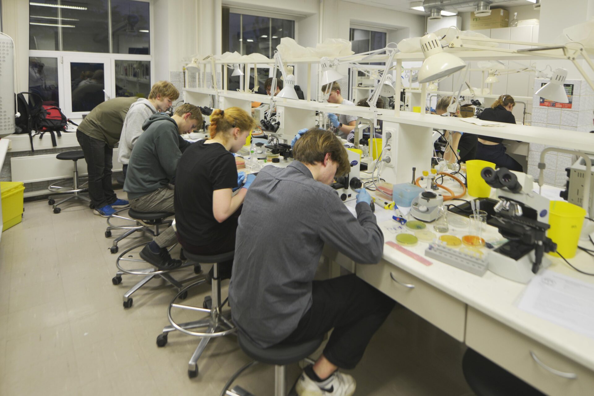 Gümnasistid võistlesid Eesti ja rahvusvahelisel bioloogiaolümpiaadil