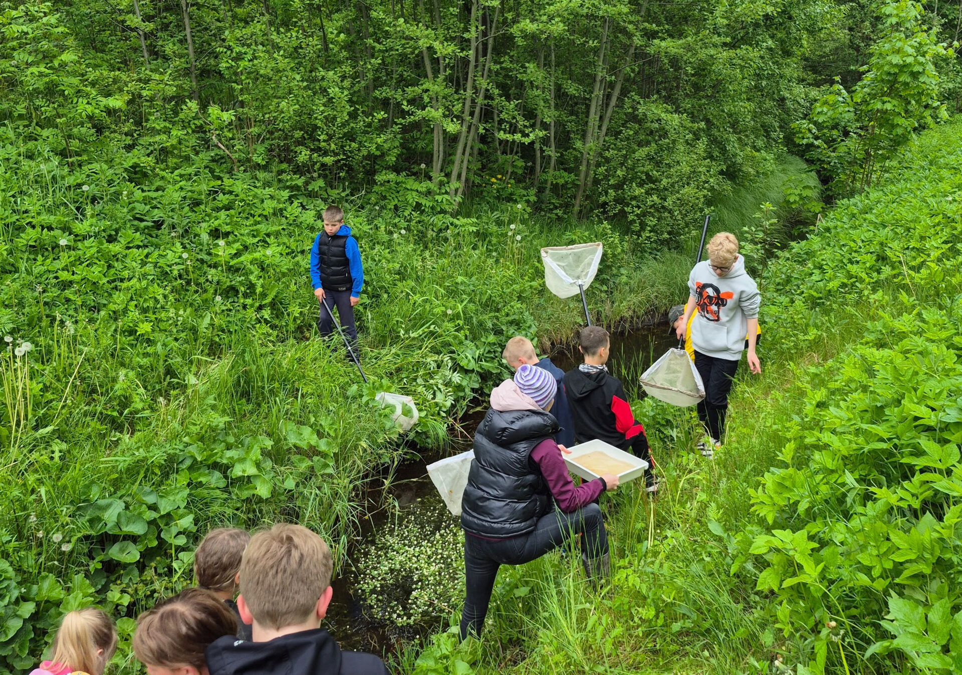 Loodusvaatluste minimaraton võeti kokku Tartu Ülikooli botaanikaaias toimunud seminaril