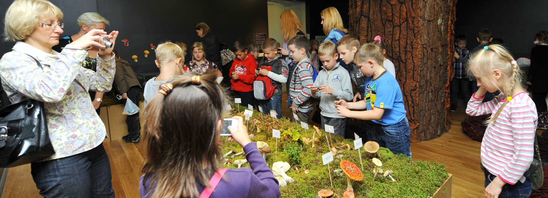 Kool küsib raha – mis peaks olema tasuta ja kust algab vabatahtlik panus?