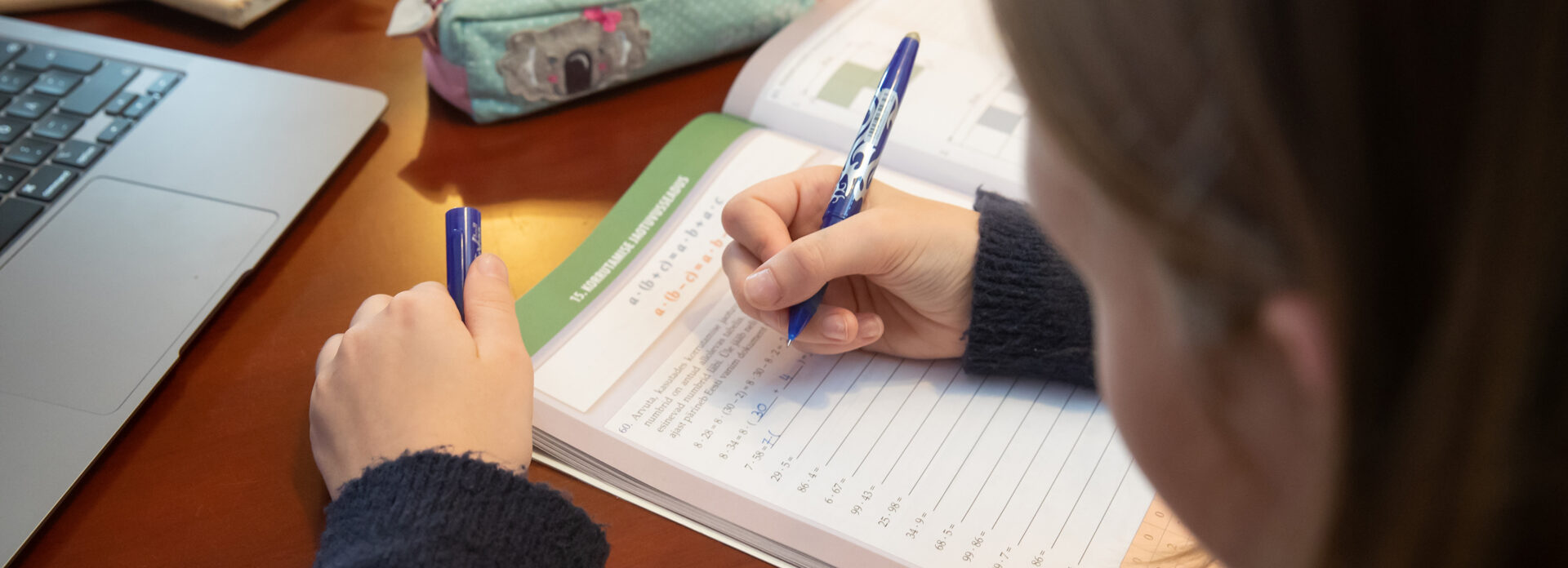 Töötasu 20–29 eurot tunnis. Eraõpetajate turg kujuneb omasoodu