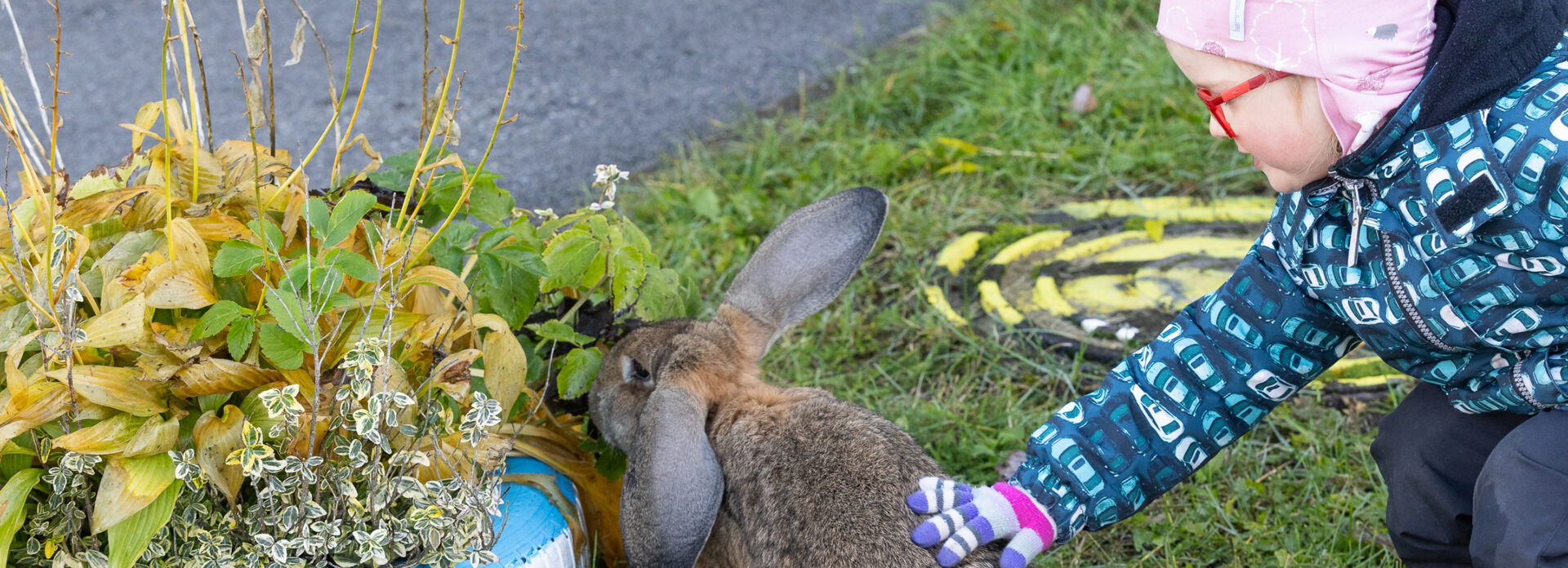 &Otilde;rnuse &otilde;ppetund: n&uuml;&uuml;dsest lasteaeda lubatavad loomad &otilde;petavad mudilastele, mis&nbsp;materjalist nad tehtud on&nbsp;