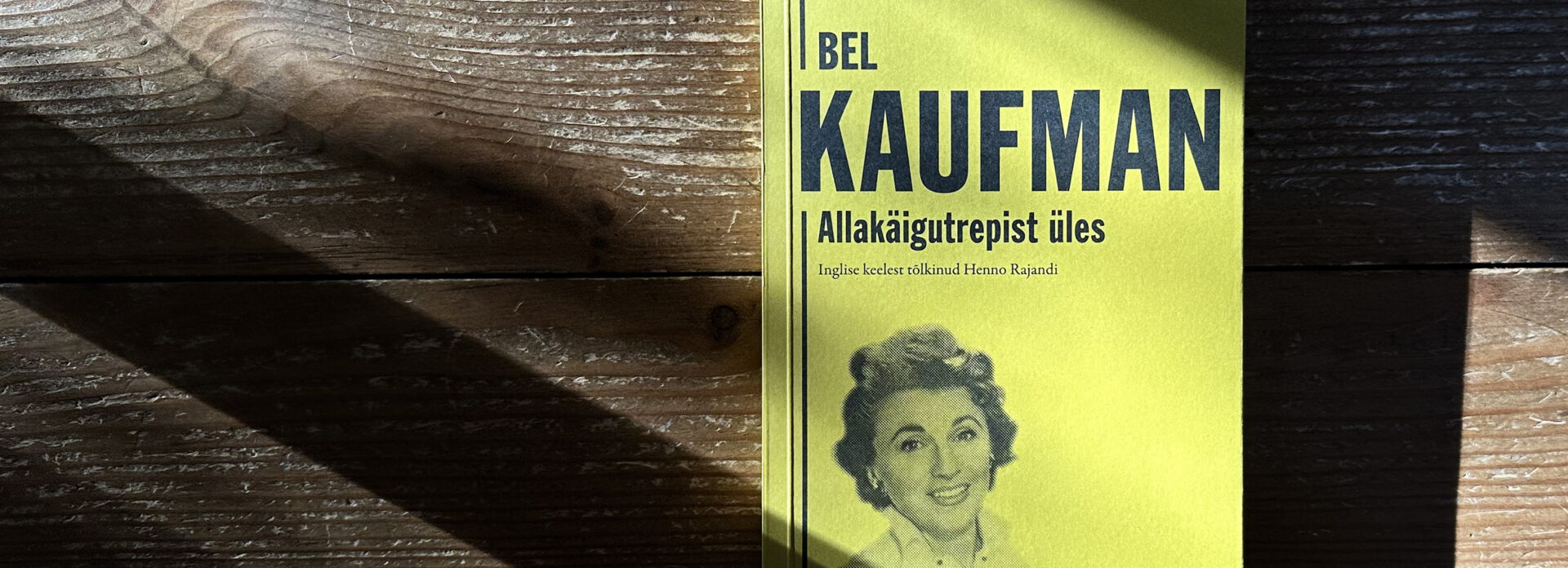 „Allakäigutrepist üles“ – ajatu ajastu peegel