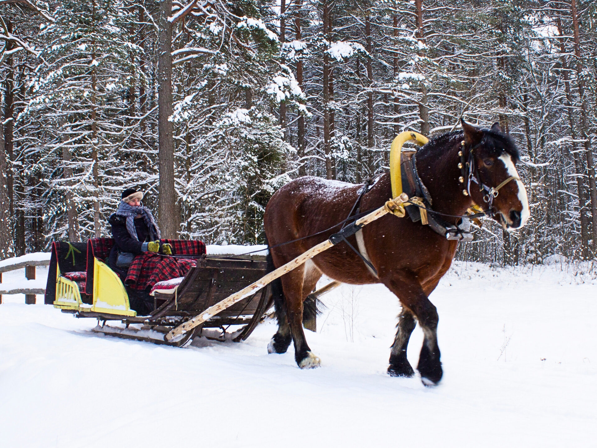 Kevadtalvised haridusprogrammid Eesti&nbsp;vaba&otilde;humuuseumis&nbsp;